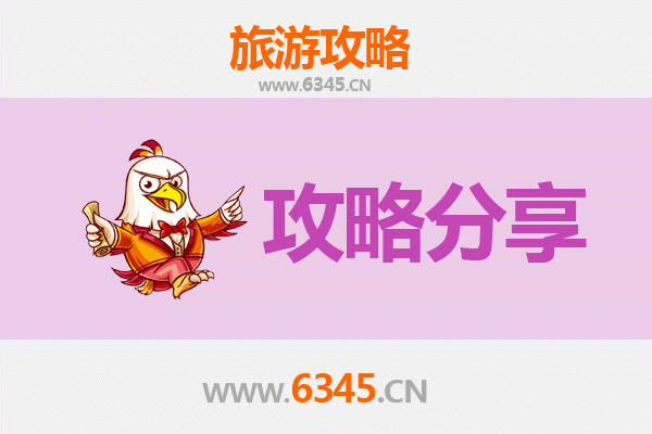 枣庄滕州旅游攻略：跟团与自由行全方位对比